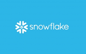 De Netezza al Data Warehouse en Cloud de Snowflake